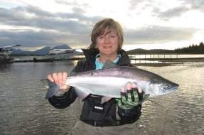 Sockeye Salmon caught in front of Mission Lodge in Bristol Bay Alaska