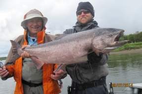 Togiak King Salmon  in Bristol Bay Alaska at Mission Lodge