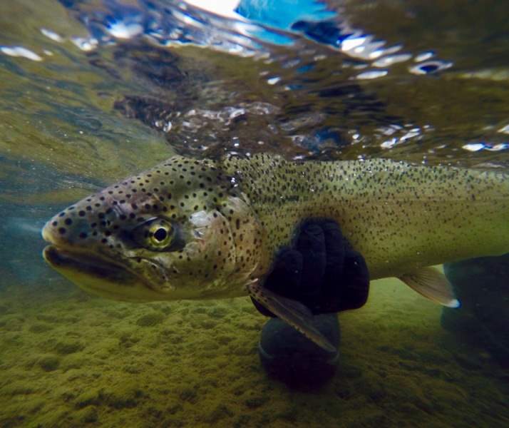 DCIM\100GOPRO\G0130760.JPG