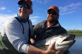 Bristol Bay King Salmon