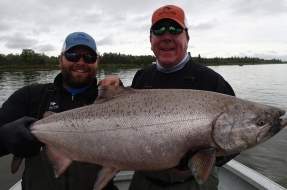 Bristol Bay King Salmon