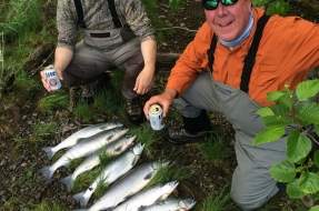 Sockeye Salmon in Bristol Bay Alaska