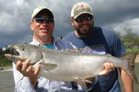 Bristol Bay King Salmon