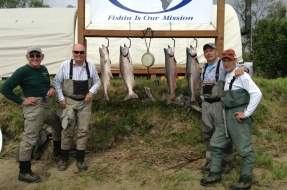 Bristol Bay King Salmon
