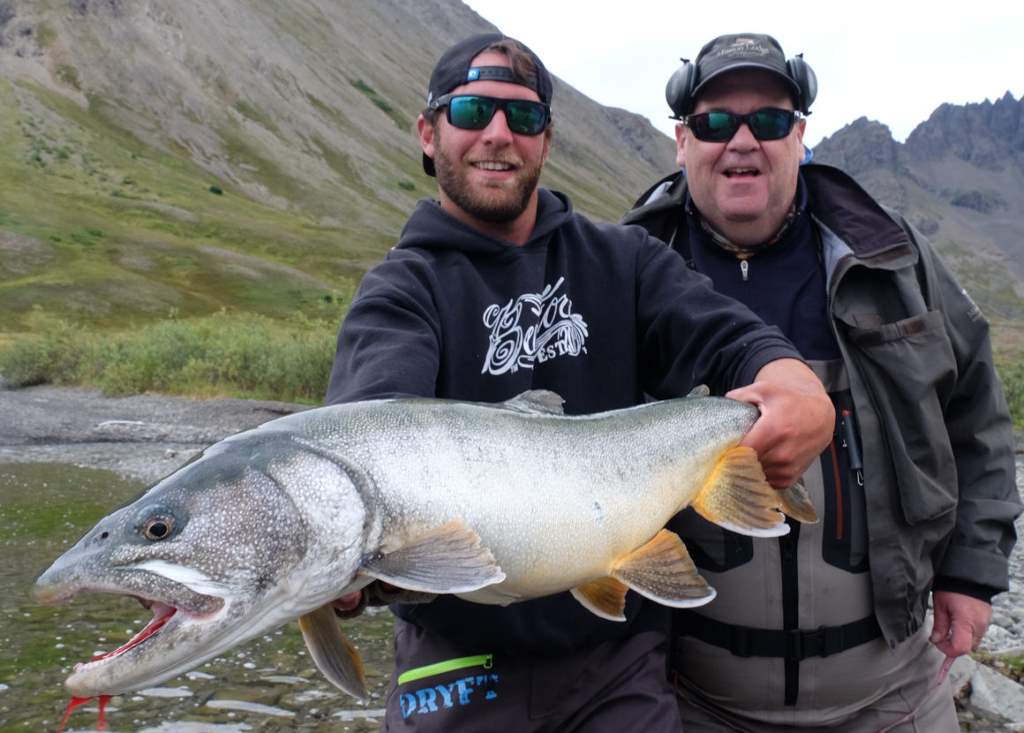 Lake Trout