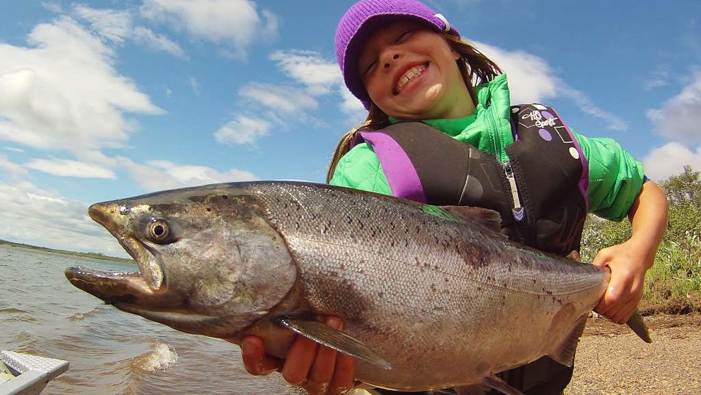 King Salmon