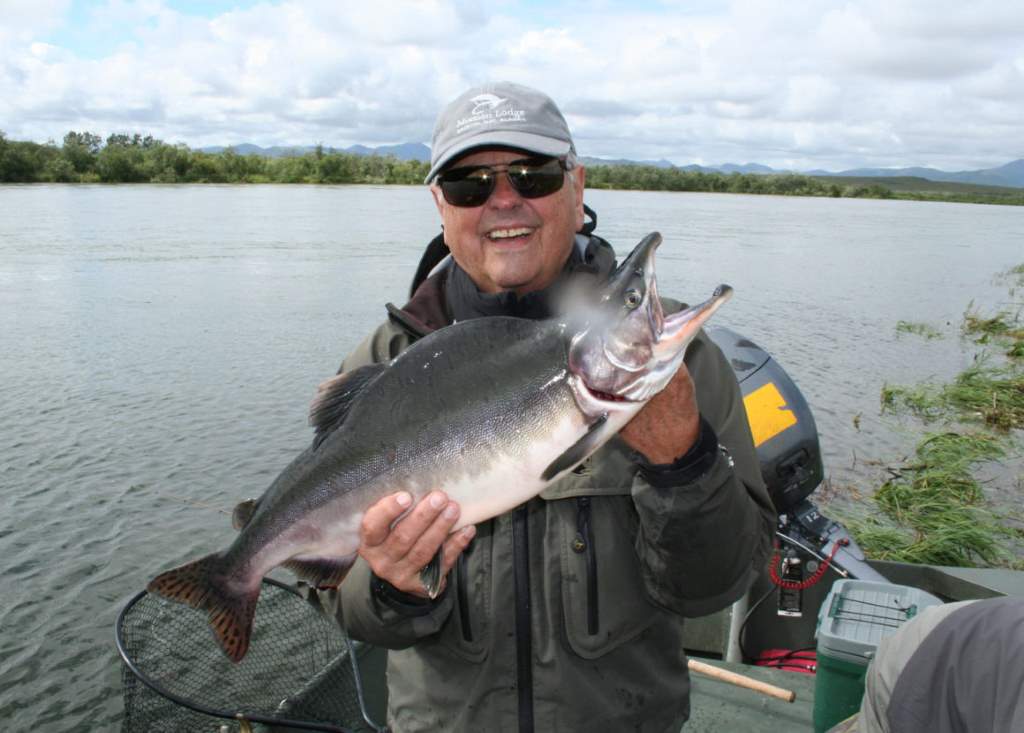 Pink Salmon